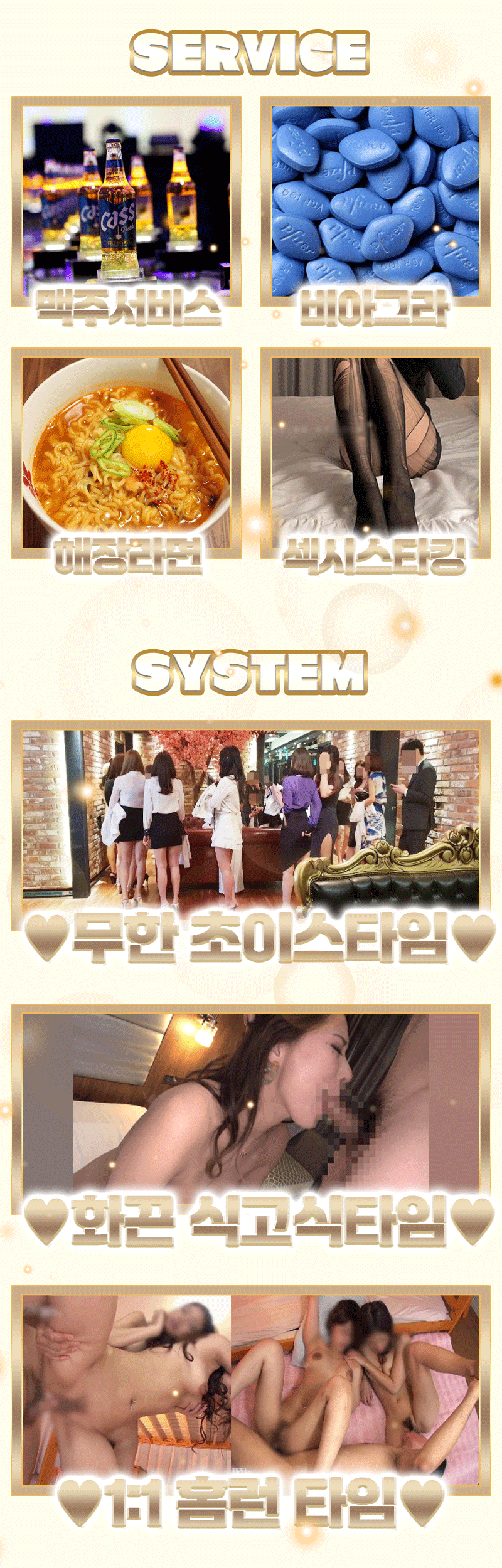 5_서비스-시스템-금장느낌-수정.gif